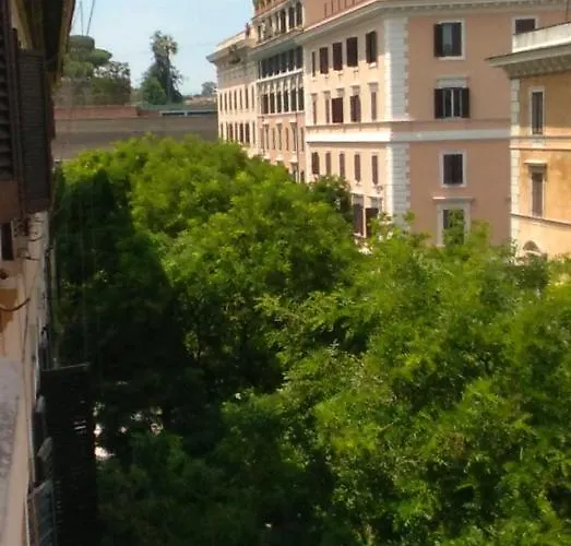 Folia Roma